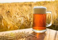 Alemania rebasada por México en producción de Cerveza